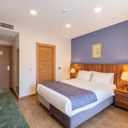 La Wisteria Boutique Hotel Istanbul-3